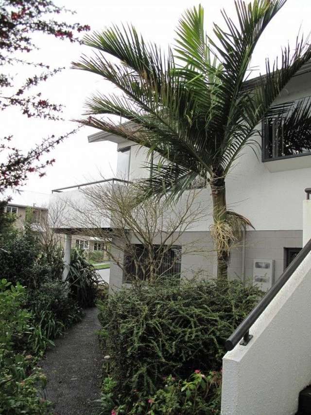 212 The Booms Avenue Thames_1