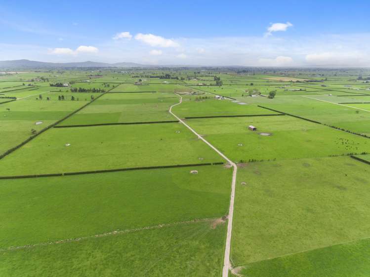 1084 Tower Road Turangaomoana_7