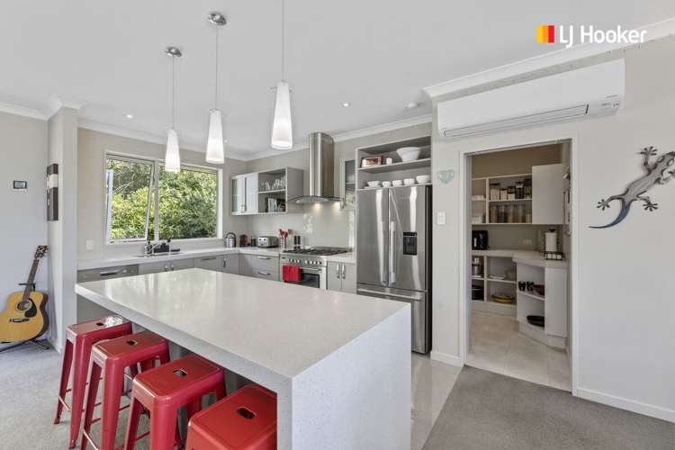 815 Mount Cargill Road Mount Cargill_5