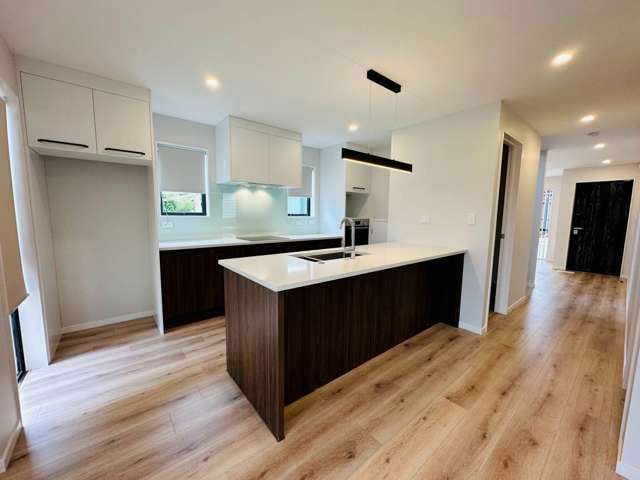 43E Cambridge Terrace Papatoetoe_1