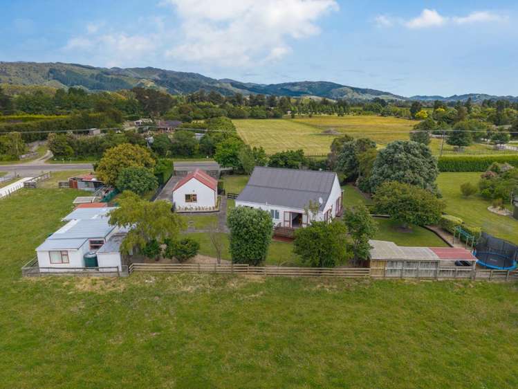 461 Tararua Road 10516_18