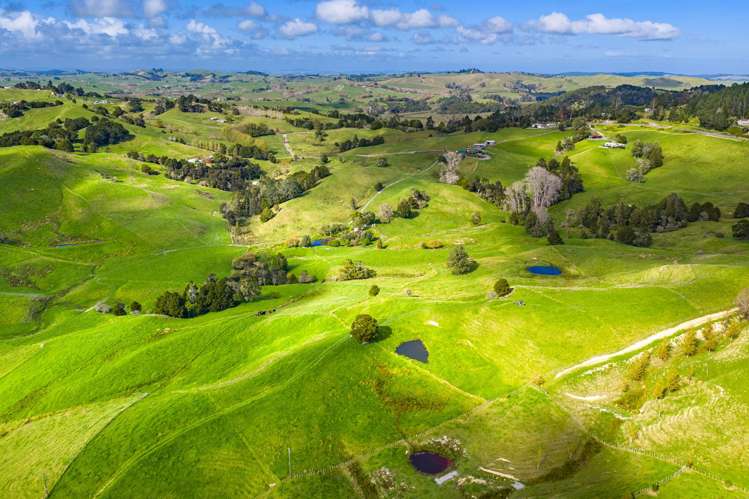 118 Paparoa Station Road Paparoa_18