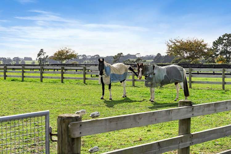 47 Sanctuary Drive Glenbrook_9