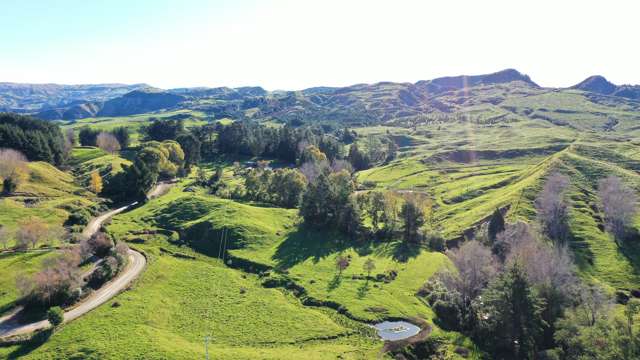 Calf rearing, accommodation, firewood and farming