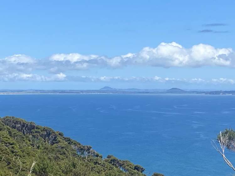 Lot 4/303 Waiaua Road Hihi_36