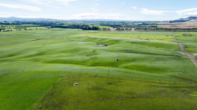 1095 Waimea Valley Road Nine Mile_5