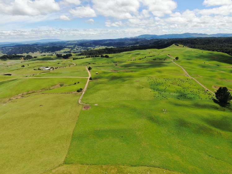 537 Tapuwae Road Benneydale_22