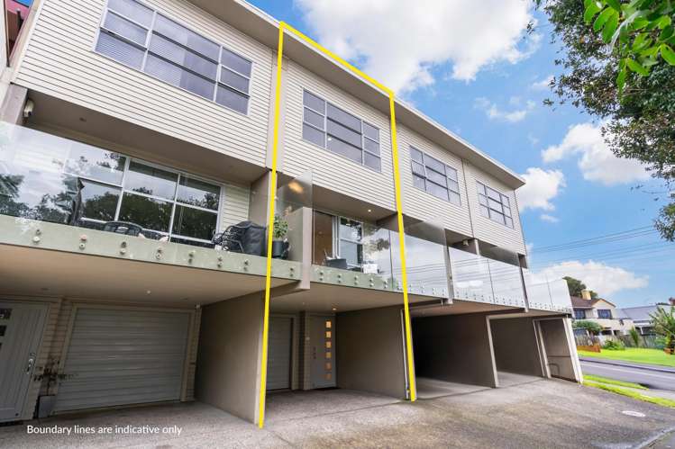 1c Queenstown Road Hillsborough_12