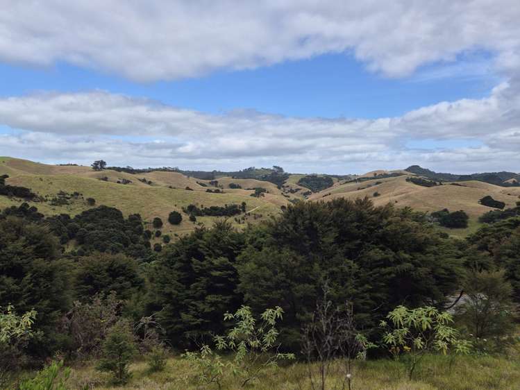 79 Awaawaroa Road Awaawaroa Bay_16