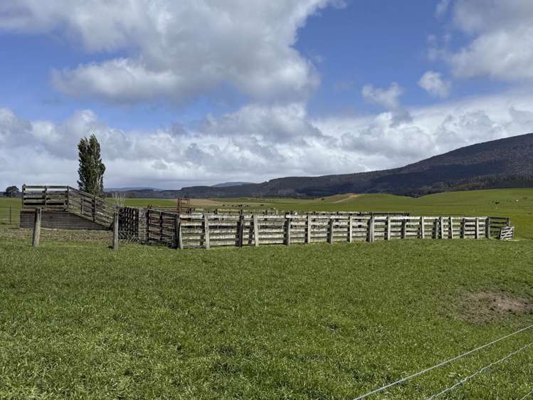 85 Allan Road Otautau_13