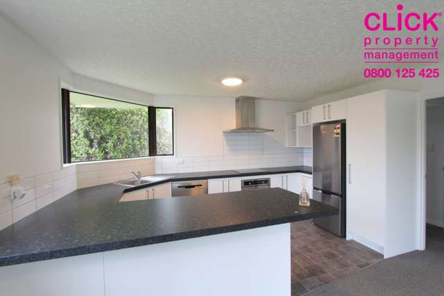 79 Bush Road Mosgiel_4