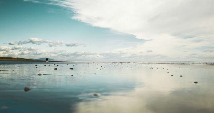 205 Rocking Horse Road Southshore_18