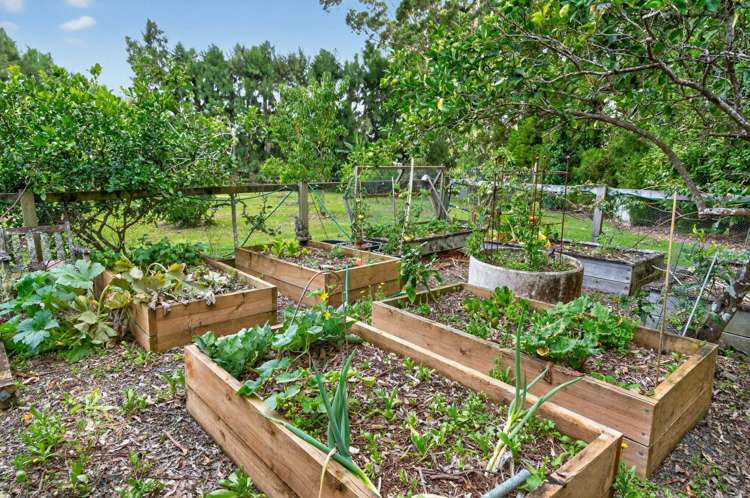 631 Tara Road Mangawhai_47