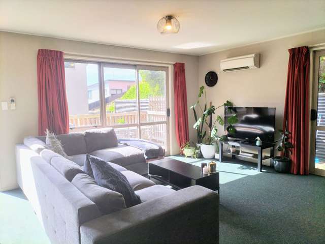 45b Lees Street Dunedin Central_4