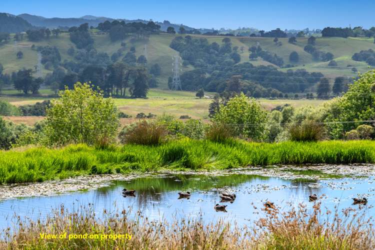 145 Ranganui Road Kaiwaka_16