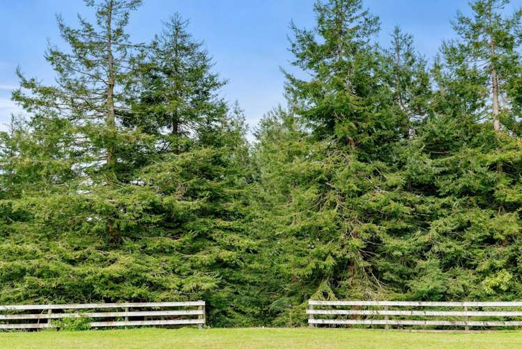 5 Sarona Park Drive Kaimai_6