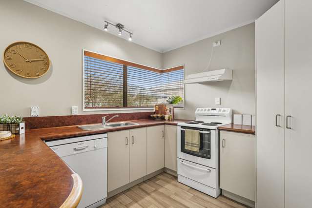 231b Boucher Avenue Te Puke_4