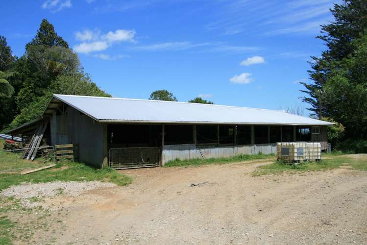 1099 Mataro Road Urenui_16