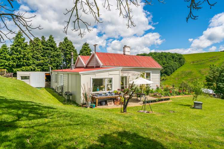 3 Annan Street Lawrence_15