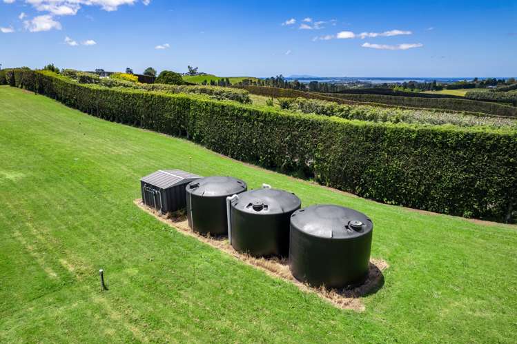 54 Sinclair Road Whakamarama_19