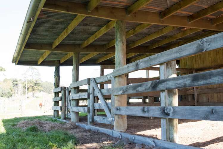 111 Worrall Road Kumeu_12