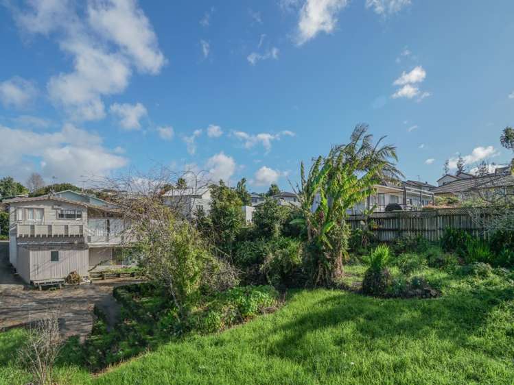 58 Nelson Street Howick_2