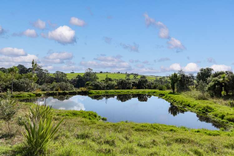 68 Goodall Road Snells Beach_17