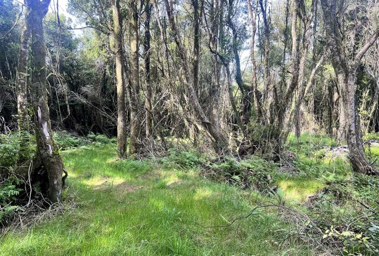 378A Kumara Junction Highway Arahura Valley_7