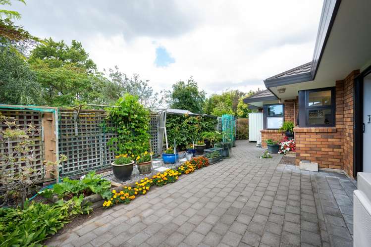 3/611 Roberts Street Hastings_14