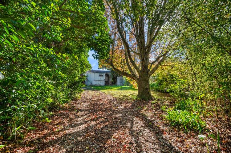 929 Whangaparaoa Road Manly_2