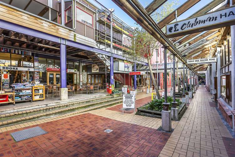 226/6 Left Bank Te Aro_15