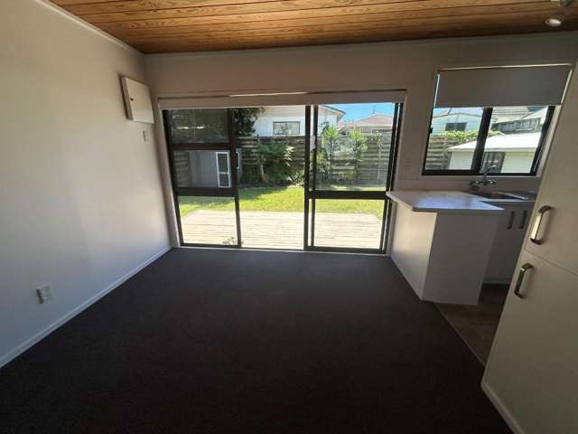 30 Percy Road 1131_3