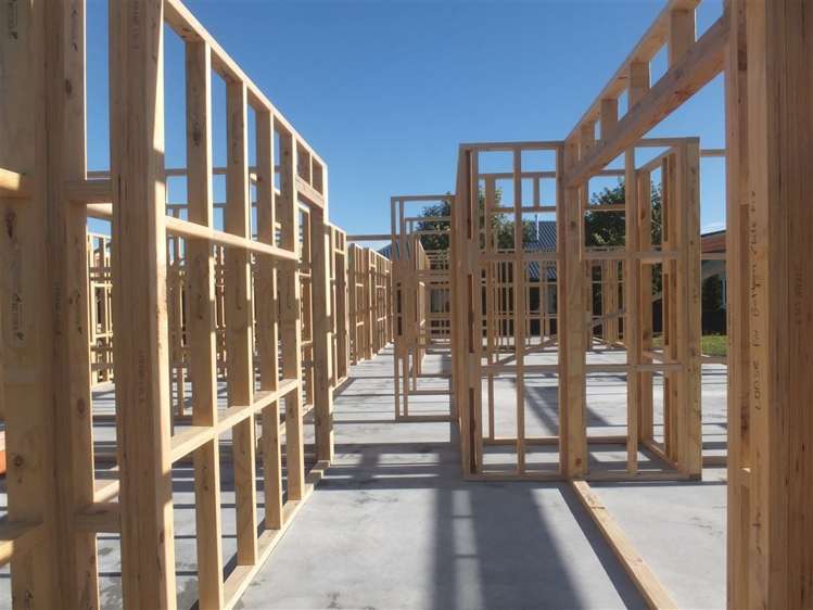 67b Colemans Road Springlands_6