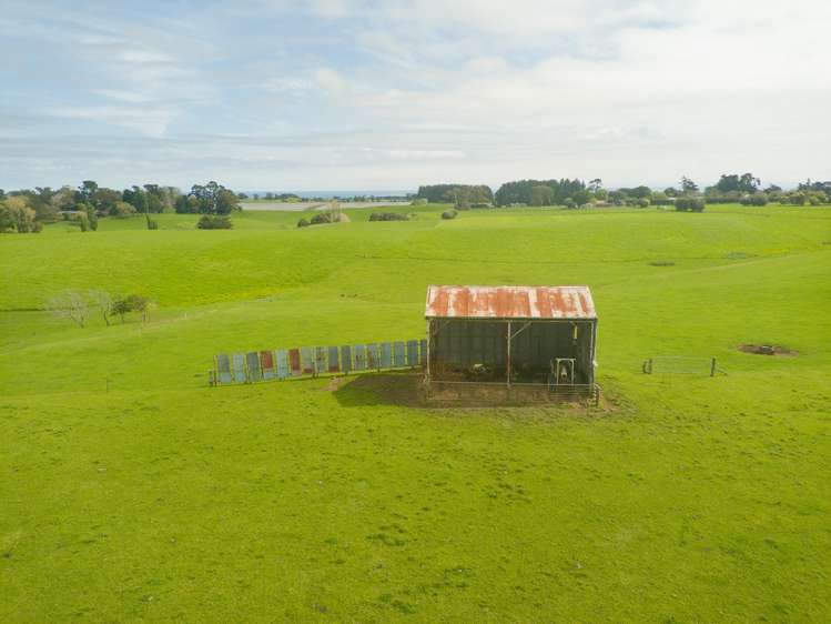 219 State Highway 3 Westmere_6