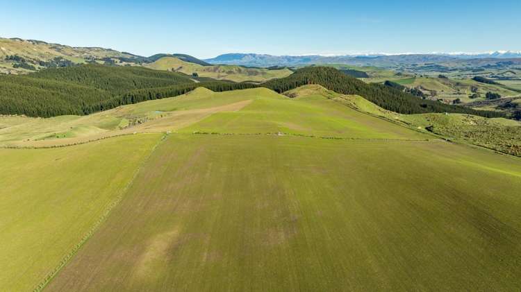 324 Reeces Road Omihi_6