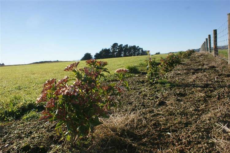 52 Spittles Way Gore_12