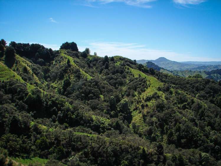 82 Carter Road Taumarunui_17