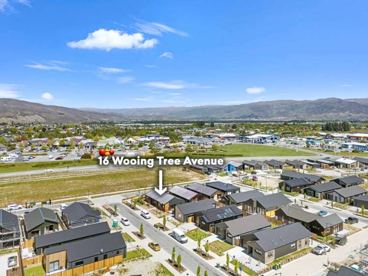 16 Wooing Tree Avenue Cromwell_26