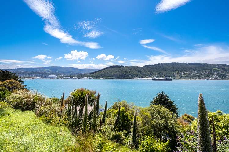 246 Portobello Road The Cove_9