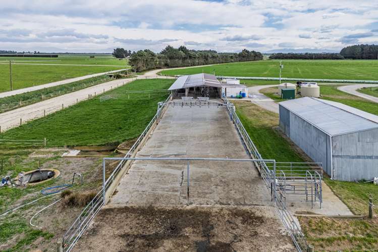 38 Williams Road Eiffelton_5