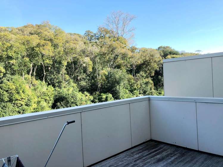 23/27 Birdwood Crescent Parnell_7