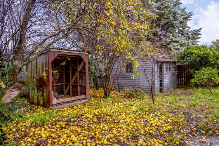 58 Cologne Street Martinborough_15