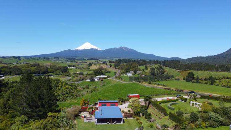 407 Plymouth Road Koru_19