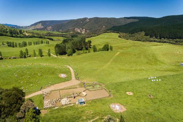 1127 Glenross Waiwhare_2
