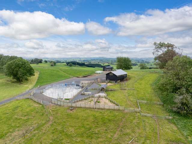 196 Waimanu Road Pukeatua_1