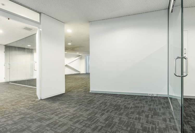8A Cleveland Road Parnell_5