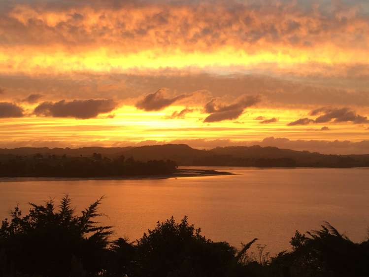 576b Pahi Road Paparoa_33