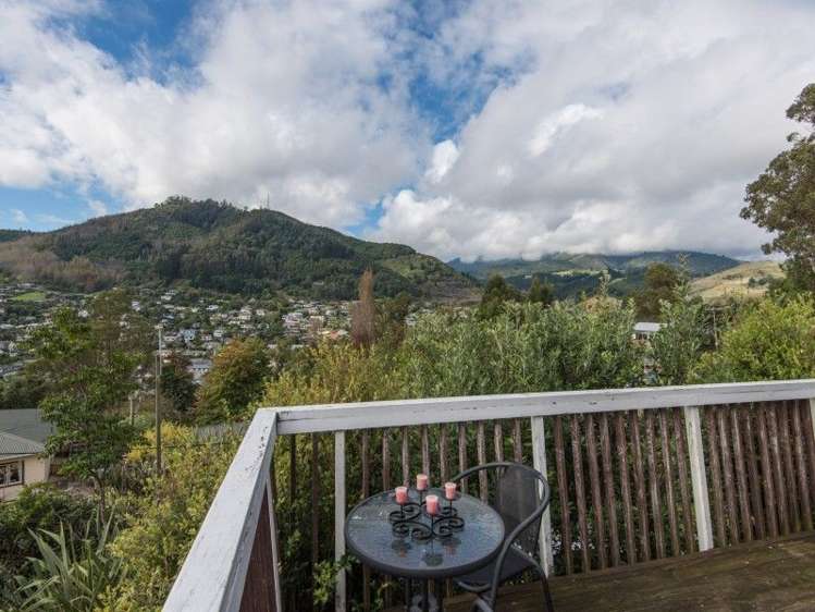 22 Thompson Terrace Toi Toi_20