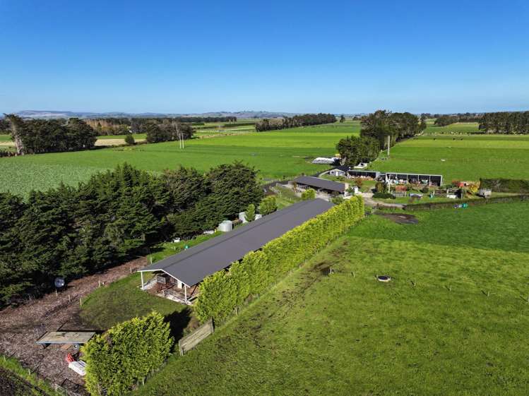 61 Donald Road Edendale_7