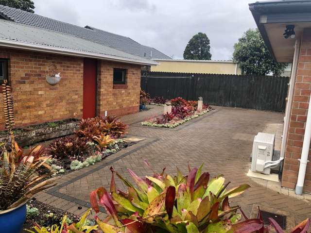 10A Coronation Avenue Pukekohe_1